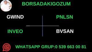 #GWIND #BVSAN #INVEO #PNLSAN @BORSADAKIGOZUM   30 AĞUSTOS 2024