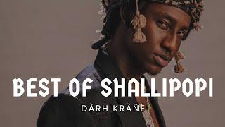 DJ DARH KRANE BEST OF SHALLIPOPI MIXX VOL.1  VIDEO MIX #shallipopi #afrobeats #shakespopi #pluto