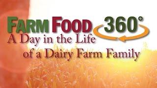 A Day in the Life of a Dairy Farm Family