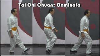 Básicos del Tai Chi Chuan: Caminata