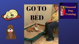 How To Teach A Dog To Go To Bed And Stay With Raised Platform/ Easier For Dog To Remain in Stay