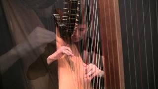 Music Video - Fantasy on Greensleeves (Josh Layne)