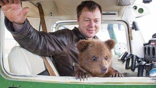 The pilot rescued the BEAR CUB, who now considers him his DAD!