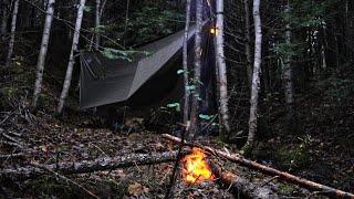 Wild Camping In Rainy Cold Forest - Campfire Cooking - Hammock Tarp Shelter