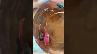 3 Robo fish racing | #shorts | #robofish