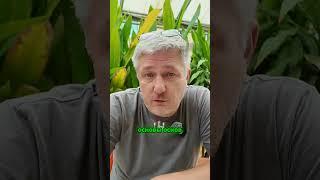 Почему государства не любят крипту