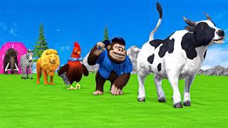 Paint & Animals Duck,Gorilla,Lion,Elephant,Cow,Sheep Fountain Crossing Transformation Animal Cartoon