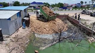 Wonderful Activity Dump Trucks 5T And Bulldozer D20p KOMATSU Fill flooded soil