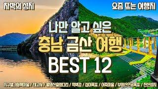 나만 알고 싶은 충남 금산여행코스 총정리 BEST 12  최고의 차박지 스팟 공개! 월영산출렁다리 부엉산인공폭포 태고사  지구별그림책마을  하늘물빛정원 인삼어죽마을 적벽강 진산성지