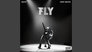 FLY