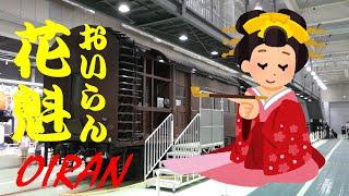 【ちかくの車窓から】おいらんの車窓から　【梅小路で花魁道中】Building limit measurement train " OIRAN"