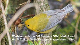 Warblers with the OM System OM-1 Mark 2 and the M.Zuiko 100-400IS zoom. Magee Marsh, Ohio