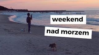 VLOG: weekend NAD MORZEM z psami | LifeManagerka