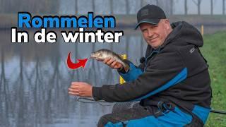 Taaie wintervisserij met de feeder | JanWillem Nijkamp