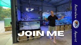 Australian Aquarist FULL AQUARIUM TOUR Part 1