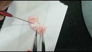 laboratory investigation and instruments ‎@hshdude ‎@TBNRFrags  (4)
