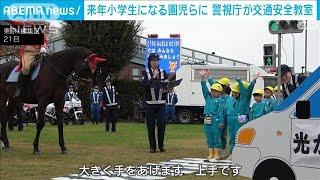 幼稚園で警視庁が交通安全教室　騎馬隊も参加(2024年11月22日)