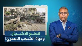 لماذا يتم قطع الأشجار في مصر.. وعلاقة السيسي بها!