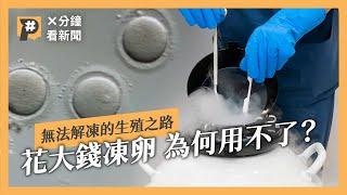 我的卵子誰做主？花大錢凍卵 為何用不了？｜公視P# 新聞實驗室