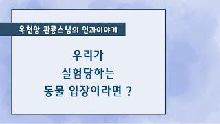 우리가 실험당하는 동물 입장이라면 [옥천암 관룡스님의 인과이야기]