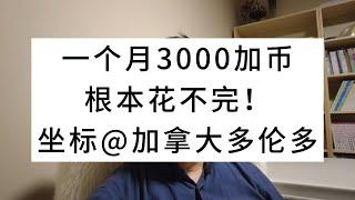 一个月3000加币，根本花不完！坐标@加拿大多伦多