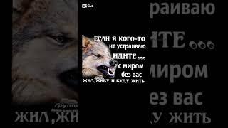 #психология #отношения #любовь #дружба #психолог #счастье #психологияженщины #психологиямужчины