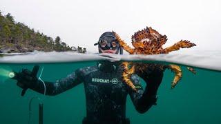 Free -Divers: Top 2025 Bucket List—Paddleboarding Puget Sound King Crabs