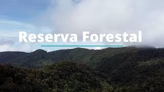 Reserva Forestal “Los Santos” - Dota, Costa Rica - DJI Mavic Mini