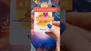 КАКИЕ ТАРАКАНЫ В ЕГО ГОЛОВЕ⁉️ #shorts #тараканывголове