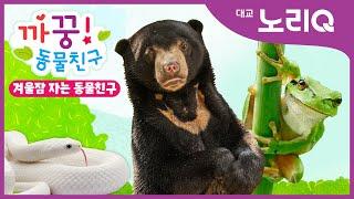 까꿍! 겨울잠 자는 동물친구ㅣ자연관찰ㅣ대교 노리QㅣBabies&KidsㅣPikaboo! Animal friendsㅣDaekyo noriQ