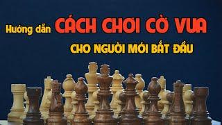 Hướng Dẫn Cách Chơi CỜ VUA Cho Người Mới Bắt Đầu || Kiến Thức Cờ Vua