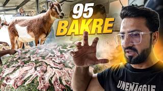 Arab Village Food Making of 95 Goats | Old Arab Village Style Cooking | Abdul Malik Fareed