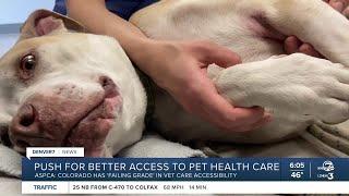 Bill aims to make telemedicine appointments more accessible for vet care