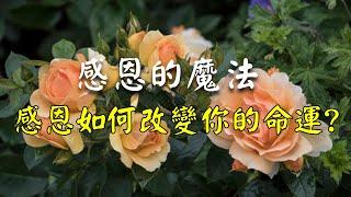 感恩的魔力你懂么？感恩不仅仅是礼貌，它可以改变你的生活！【元亨师兄】#宇宙#能量#智慧#开悟#人生