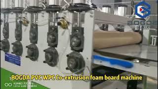 BOGDA PVC WPC Co extrusion foam board machine