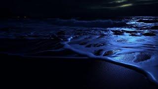 Best Ocean Sounds For Deep Sleep, Fall Asleep Fast With Wave Sounds at Night, sounds for sleeping