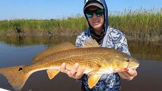 There's Plenty of Redfish in Georgia.......