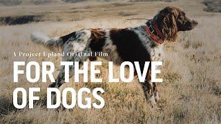 Deutsch Langhaar in North America - German Longhaired Pointer - DL-GNA Club - Imported Dog Breeds