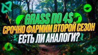 GRASS АИРДРОП 500$ НА АККАУНТ | ФАРМИМ ВТОРОЙ СЕЗОН! | GRADIENT NETWORK