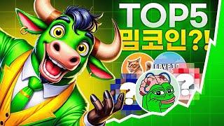 지금 주목할만한 밈코인 TOP5?!