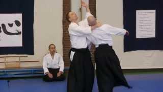 Seminar Will Stoelman Sensei - Part 01 - Aikido Yuishinkai Rotterdam
