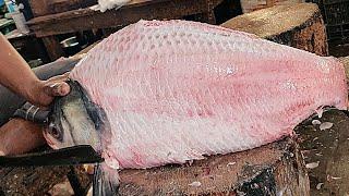 Giant Catla Carp Fish Skinning & Chopping By Expert Fish Cutter | Fish Cutting Skills