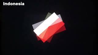 25 Flags In One Minute