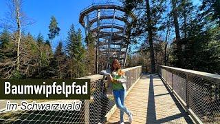 Baumwipfelpfad Schwarzwald 2022 in Bad Wildbad mit Rutsche Onride | Xscaped