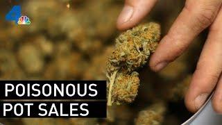 Poisonous Pot Found in Some Stores in LA | NBCLA