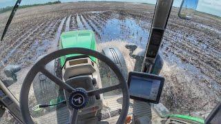 Farming or Swimming?