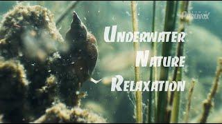 Underwater in Finland - Relaxation Music - part 1.