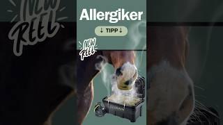 Allergikerpferd - Die beste Lösung #pferdehusten #allergies #heu #heuallergie #heubedampfen #diy