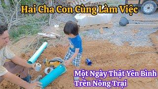 Cuộc Sống Mỹ - Cùng David Hái Dâu, Hai Cha Con Cùng Dán Ống Nước – Một Ngày Bình Yên Ở Nông Trại Mỹ