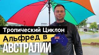 Тропический Циклон АЛЬФРЕД в АВСТРАЛИИ | Как Это Было